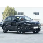 Neta X 500 – For Sale From China | Chinese Ev Cars in Algeria - Image 5