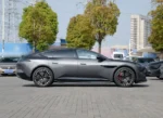 AVATAR 12 – For Sale From China  | Chinese Ev Cars in Algeria - Image 10